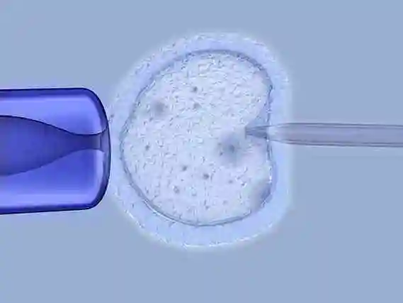 深圳当多元家庭拥抱新生命：解锁 “彩虹生子” 的温暖密码